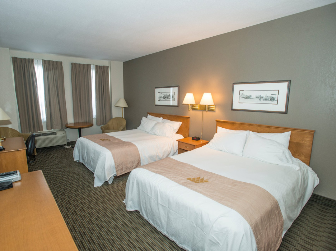 Lakeview Inns & Suites - Okotoks主图