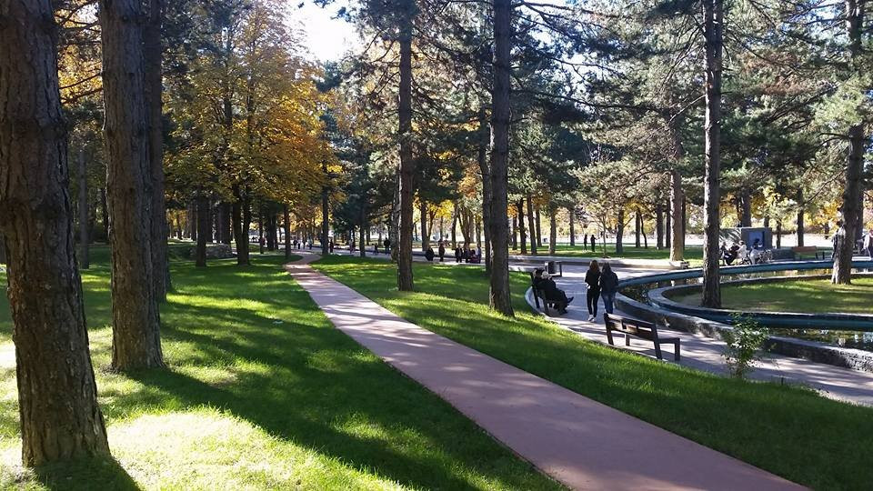 Parku Rinia