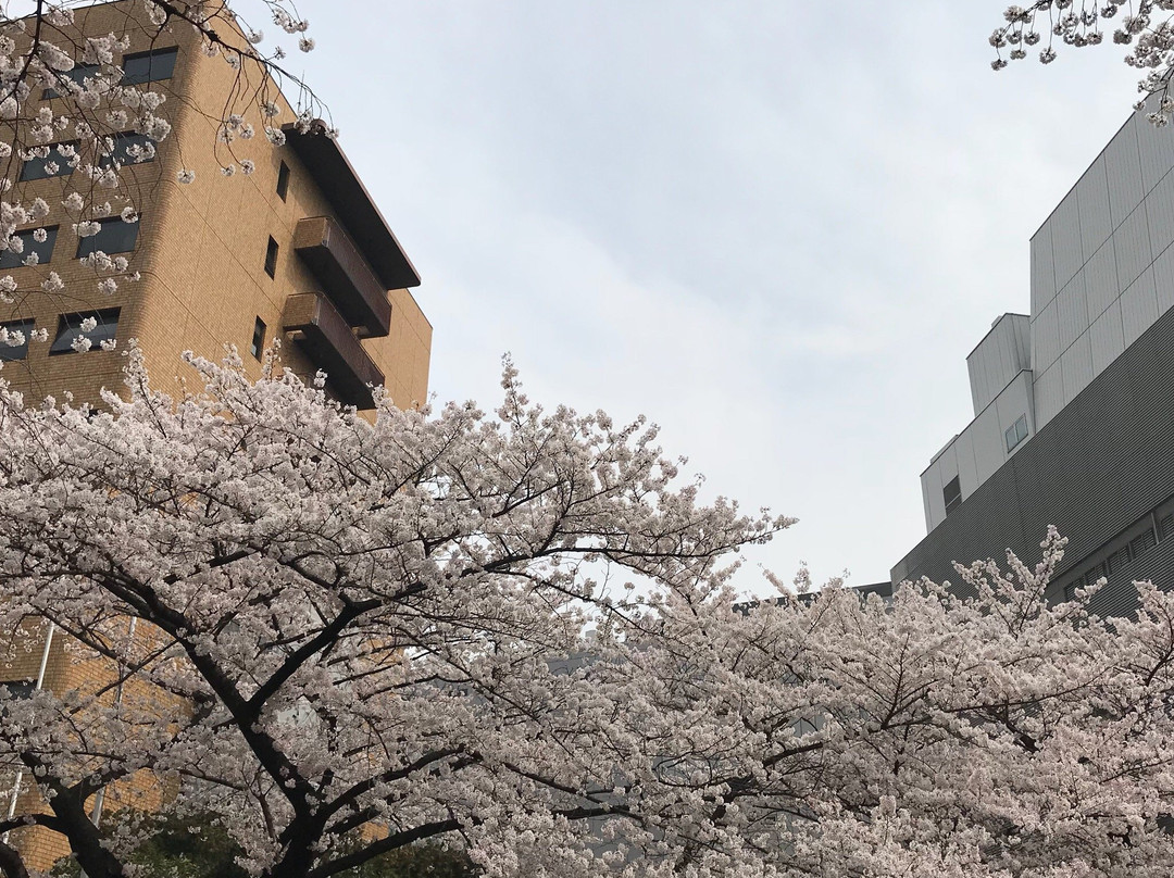 Sotobori Park-Yotsuya必去景点