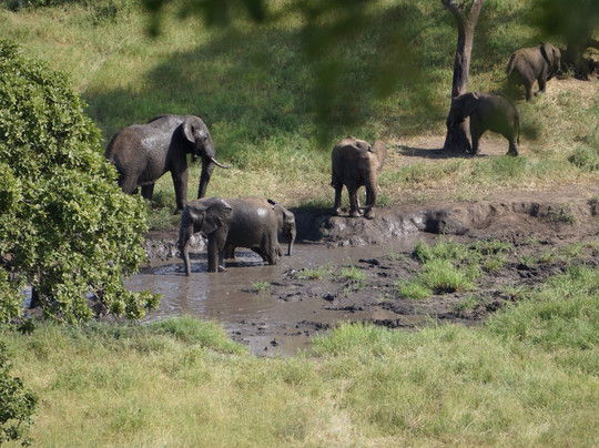 Sky View Adventure Tours & Safaris-阿鲁沙必去景点
