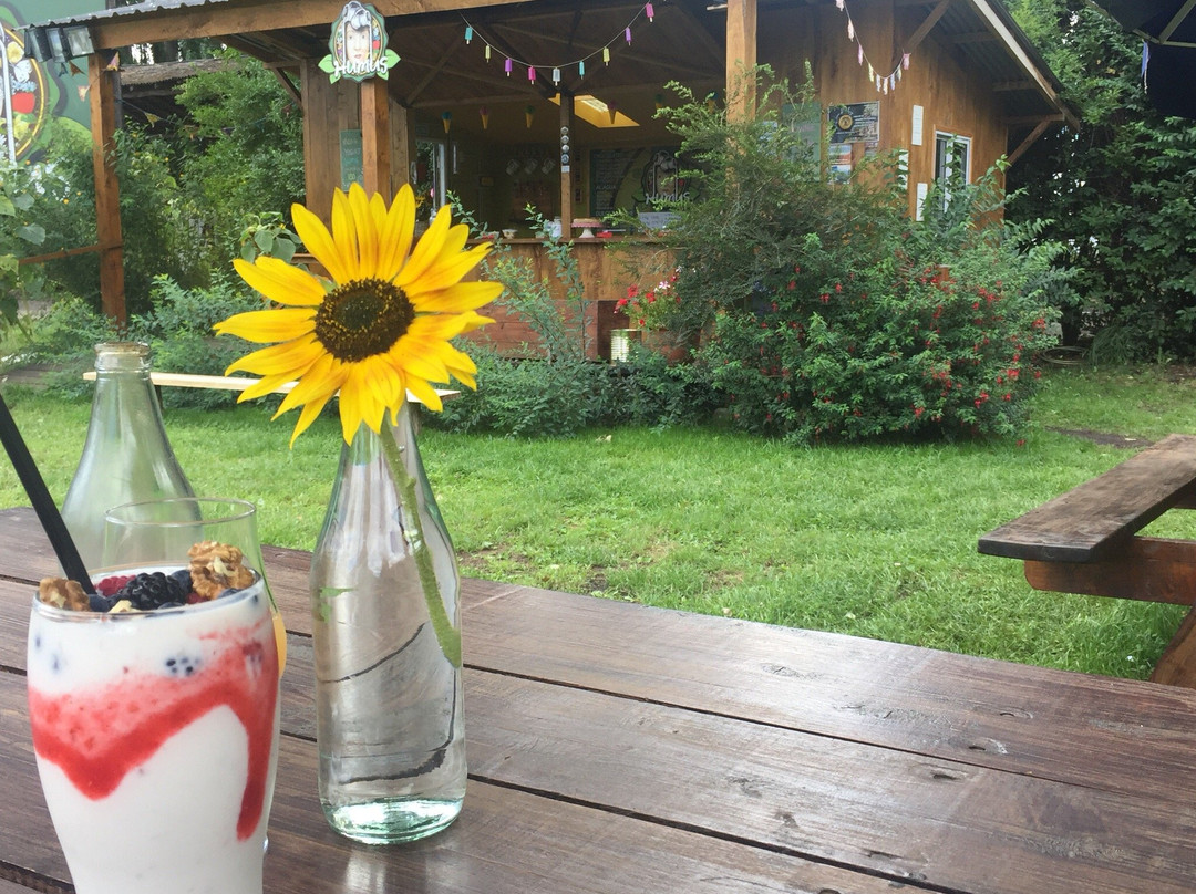 Humus de la Montaña