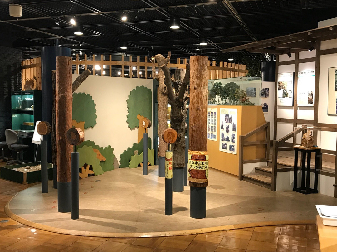 Kishiwada Nature Musium-岸和田市必去景点