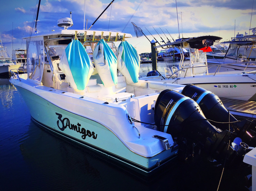 3 Amigos Sportfishing Charters-里霍博斯比奇必去景点