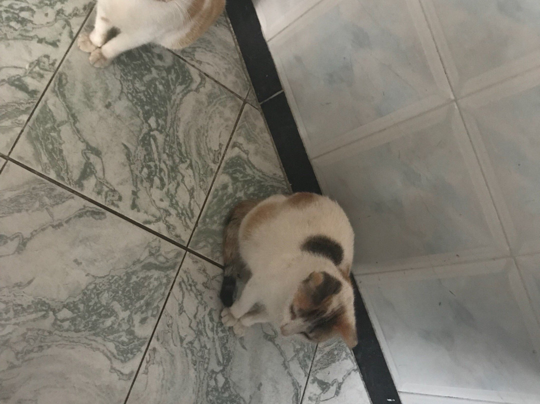 Port of Al Hoceima-Al Hoceima必去景点