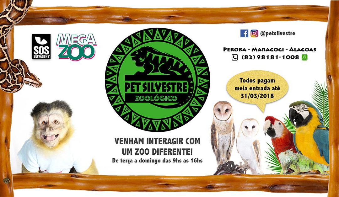 Zoologico Pet Silvestre - Maragogi-Maragogi必去景点