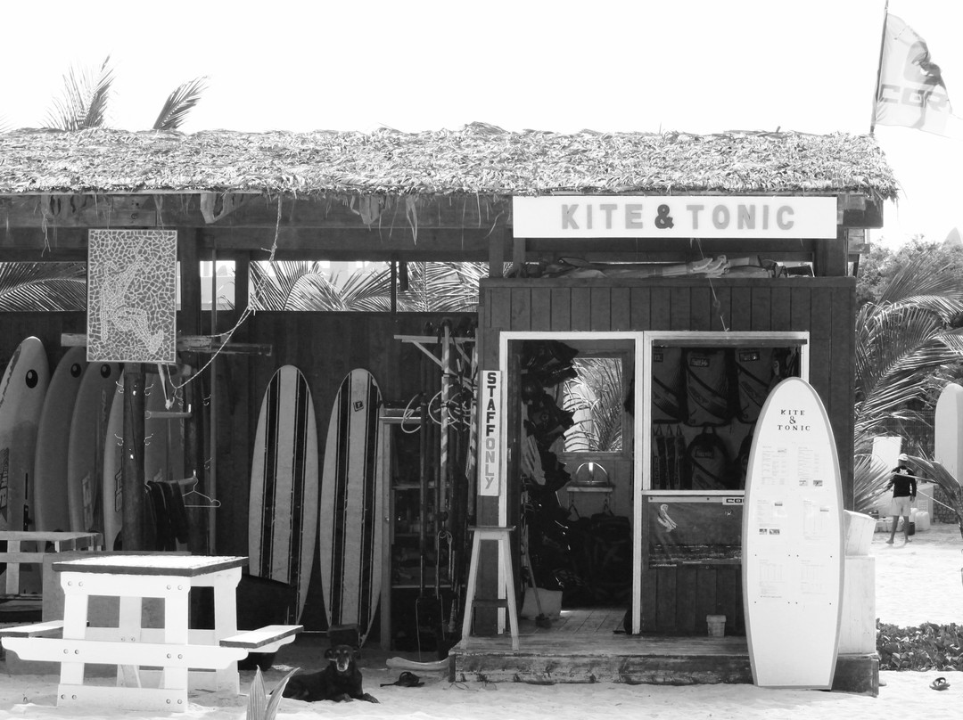 Kite & Tonic-圣塔玛丽亚必去景点