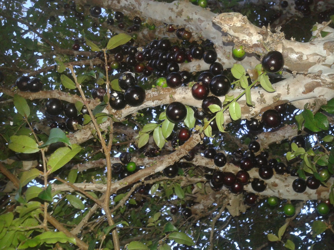 Que Lindo-Cachoeira do Campo必去景点