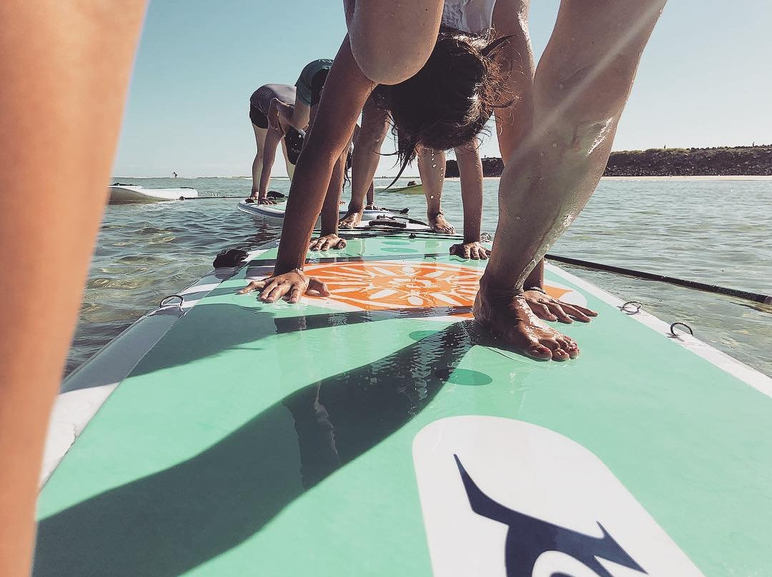 Pure Aloha Yoga and SUP-伯利角必去景点