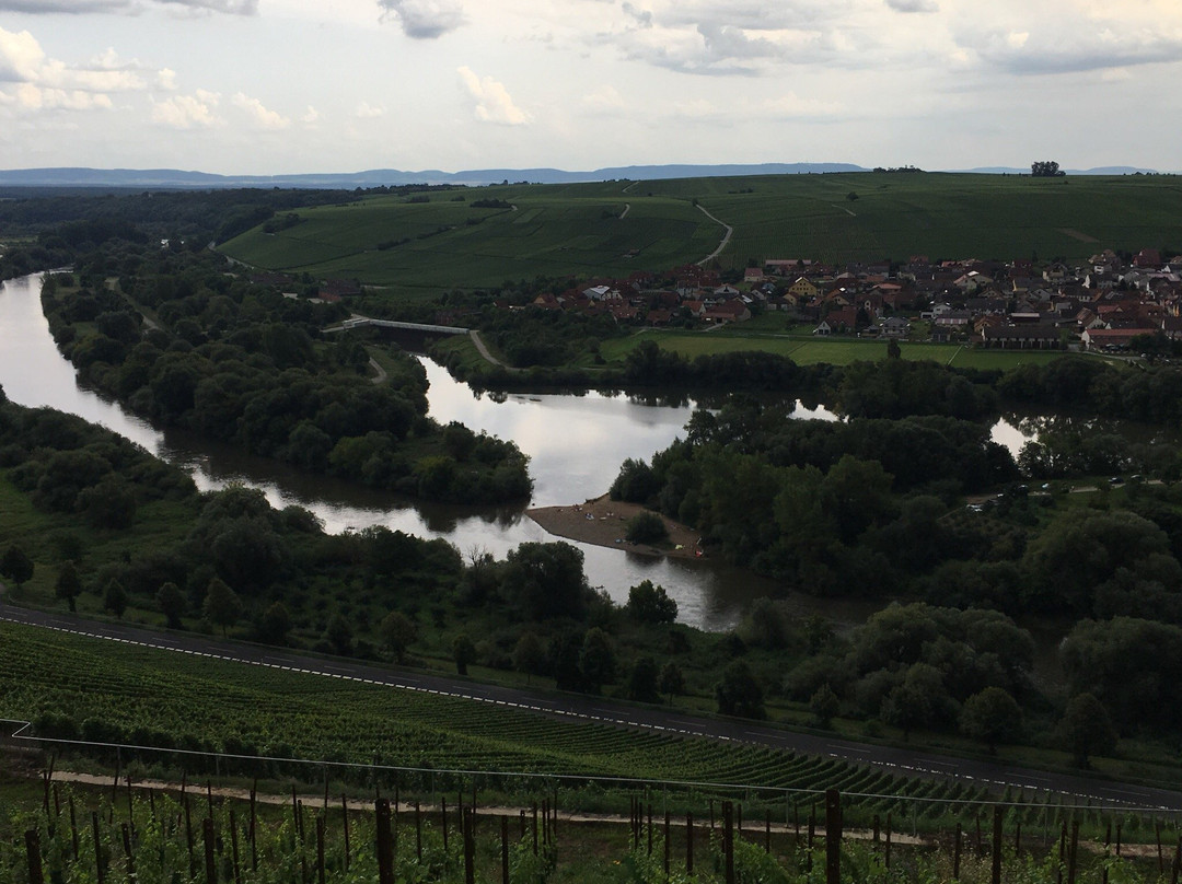 Weingut am Vogelein景点图片