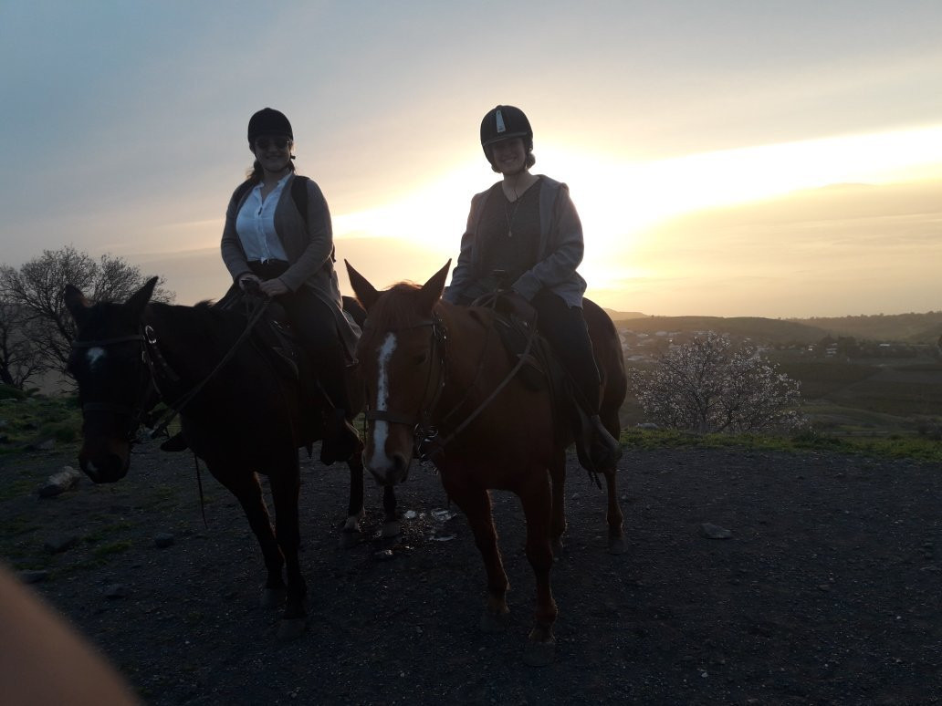 Ramot Ranch-Ramot必去景点