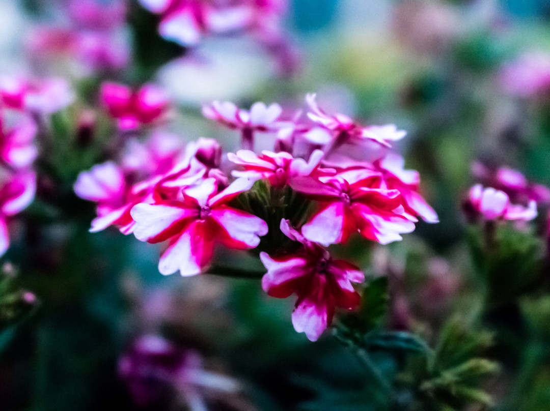 Quinta da Eira do Sol主图