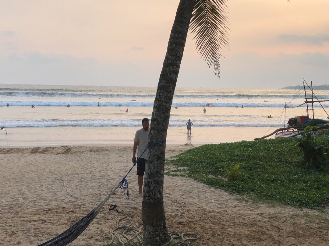 The Green Rooms主图