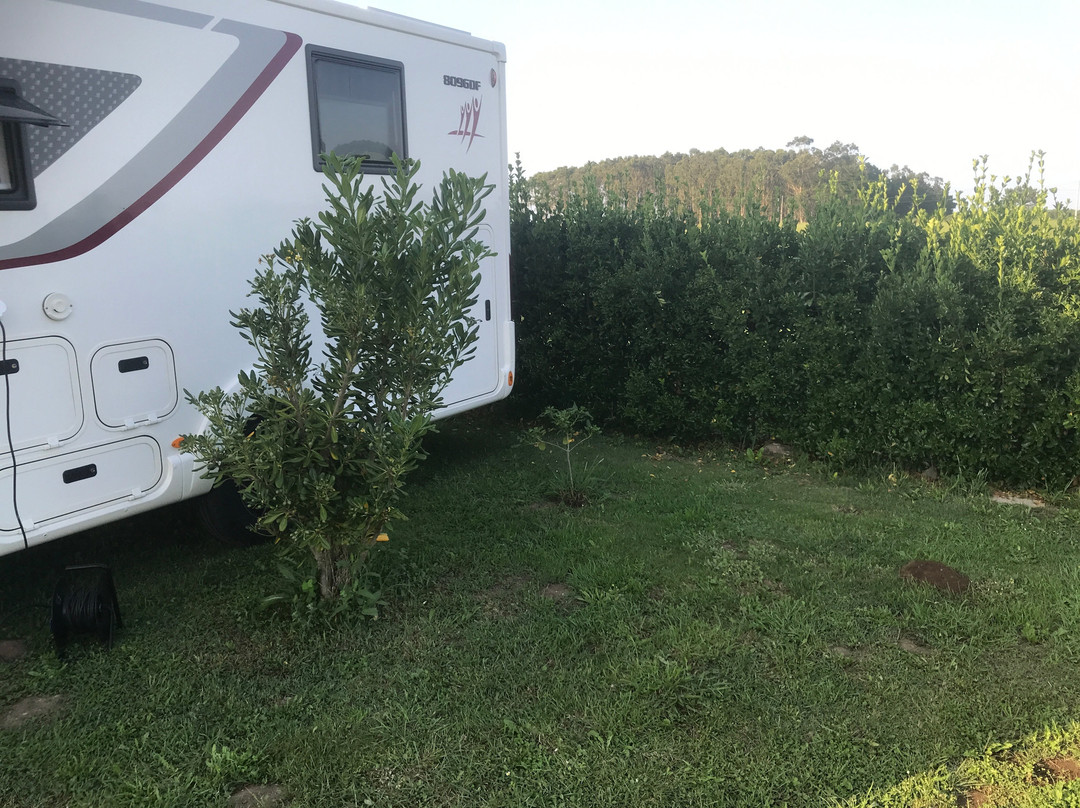 Camping Rinlo Costa