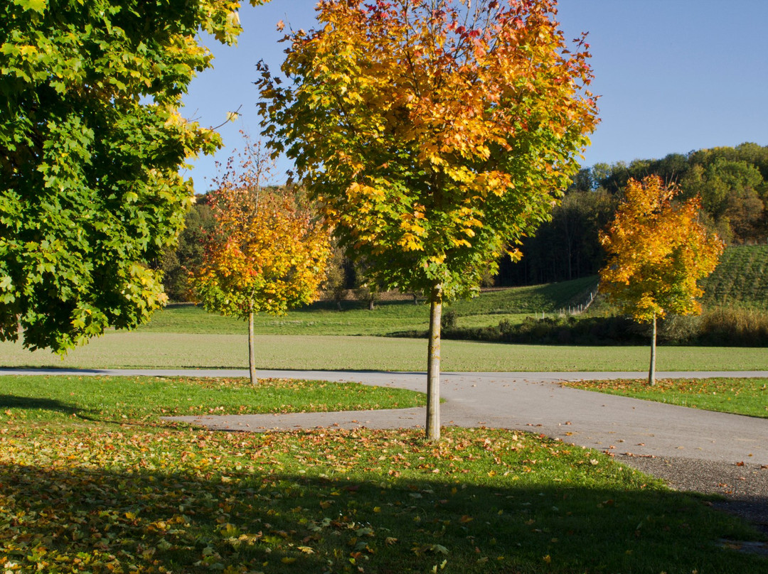 巴恩霍夫裴森赫佐格酒店主图