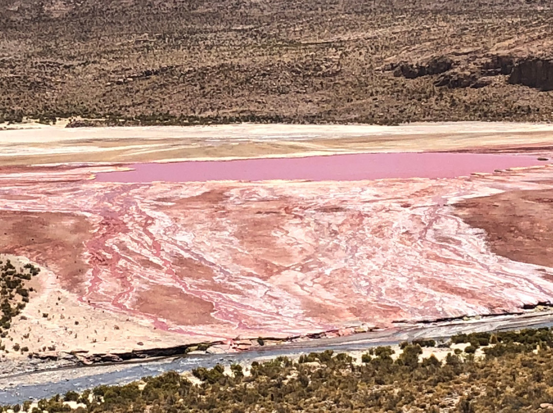 Laguna Roja-阿里卡必去景点