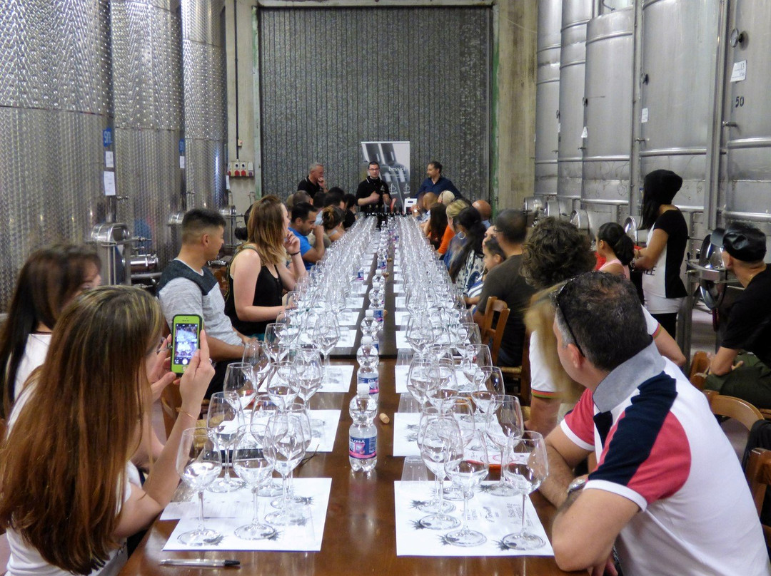Bessich Wines景点图片