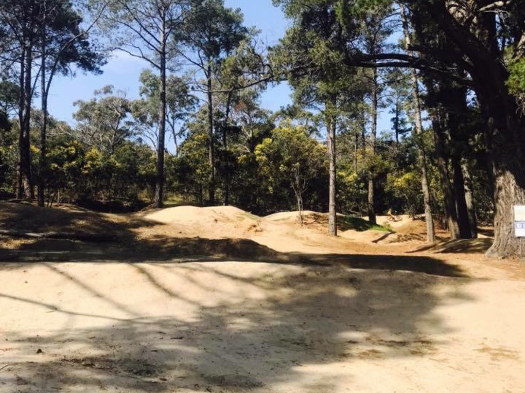 Anglesea Bike Park-安格尔西岛必去景点