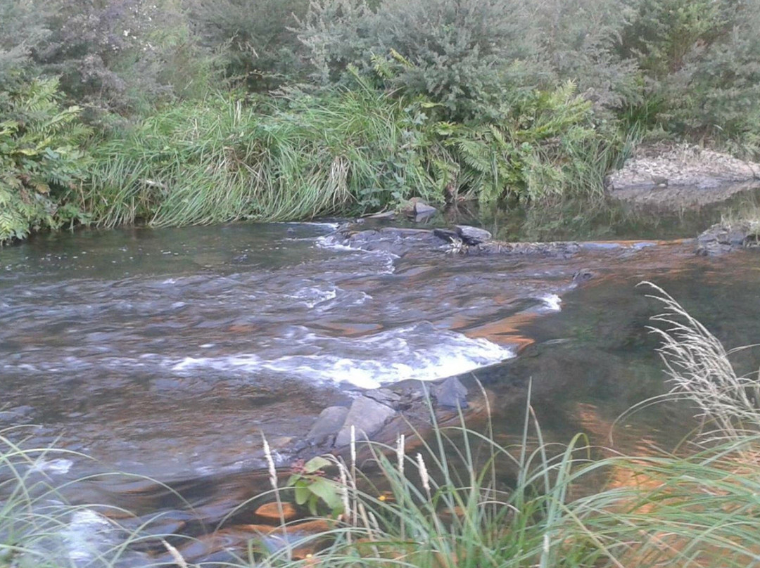 Bruntons Bridge-Walhalla必去景点