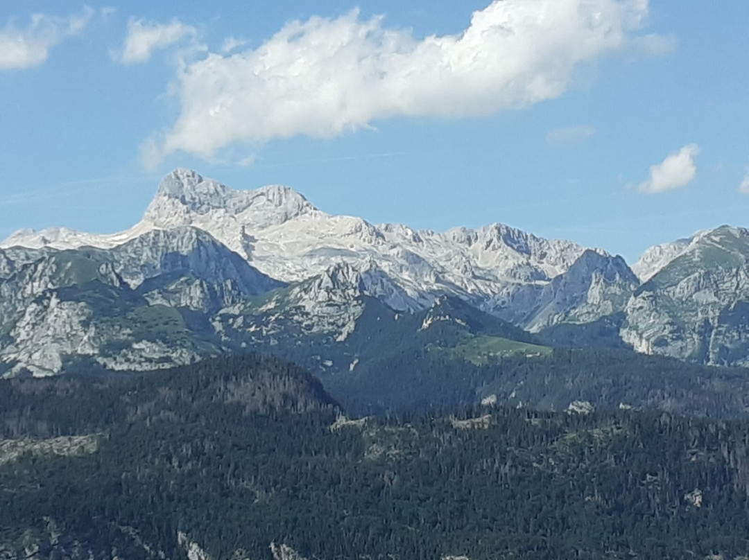 Chalet Hostel Murka