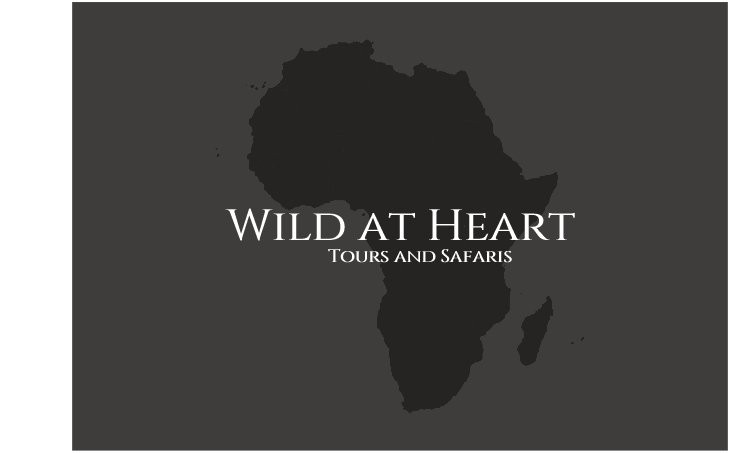 Wild at Heart Tours and Safaris (Pty) ltd.-保罗彼得斯堡必去景点