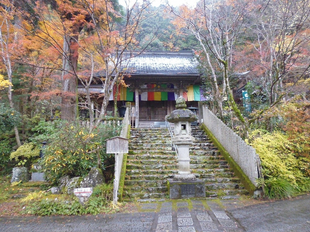 Teifukutera Temple-大豊町必去景点