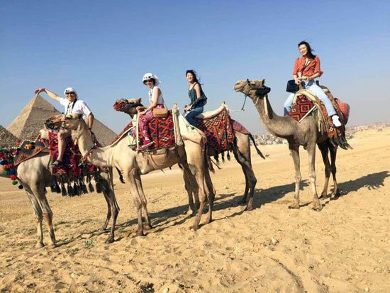 Egyptstours Tours-亚斯文必去景点