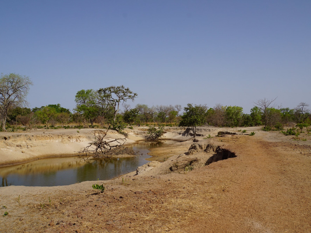 Kiang West National Park景点图片