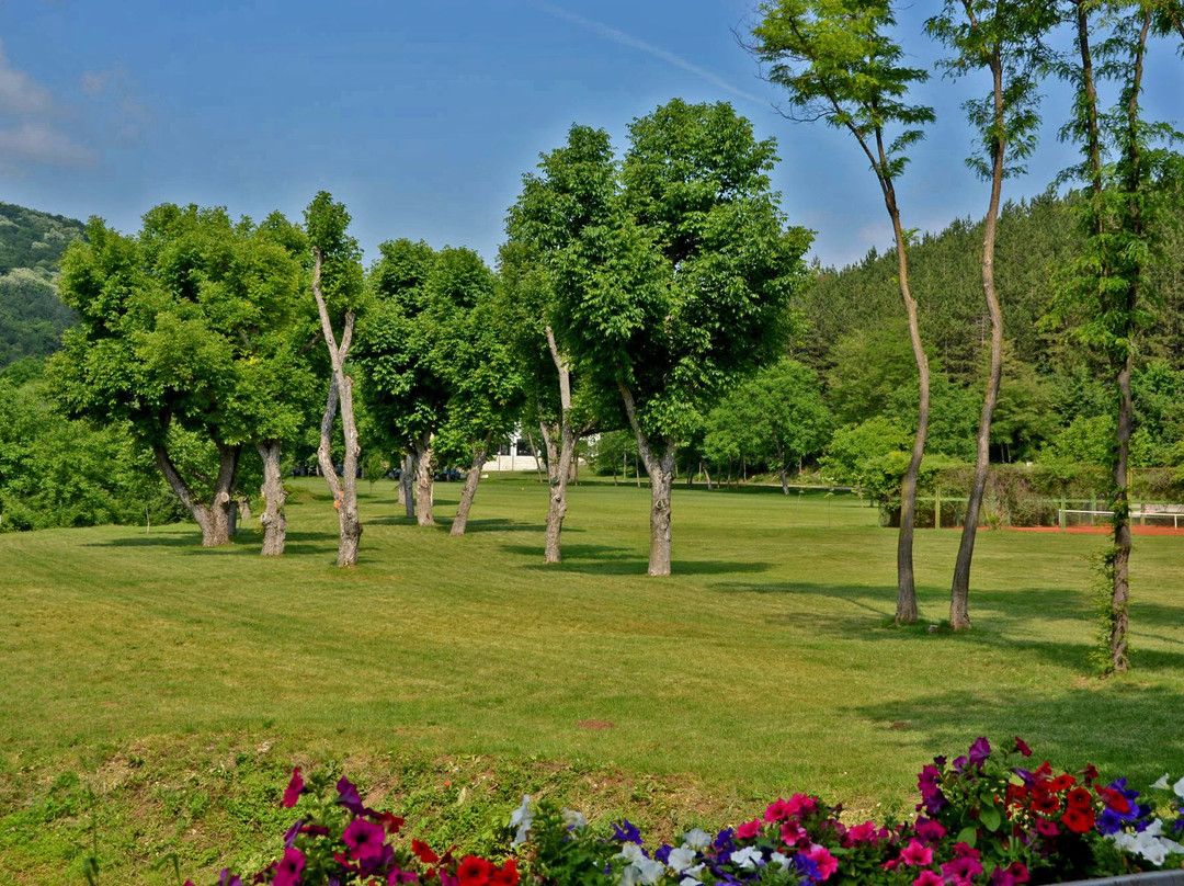 White Horse & Paradise Complex主图