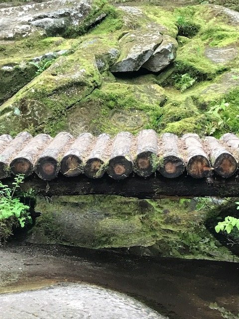 Petroglyph Galley-Bella Coola必去景点