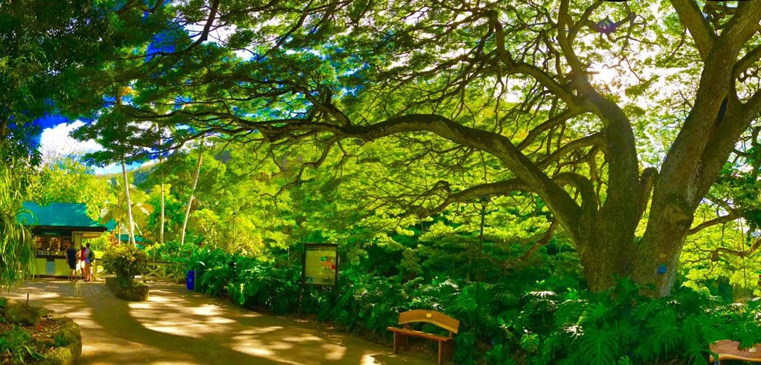 Hale'iwa Farmers' Market-哈雷瓦必去景点