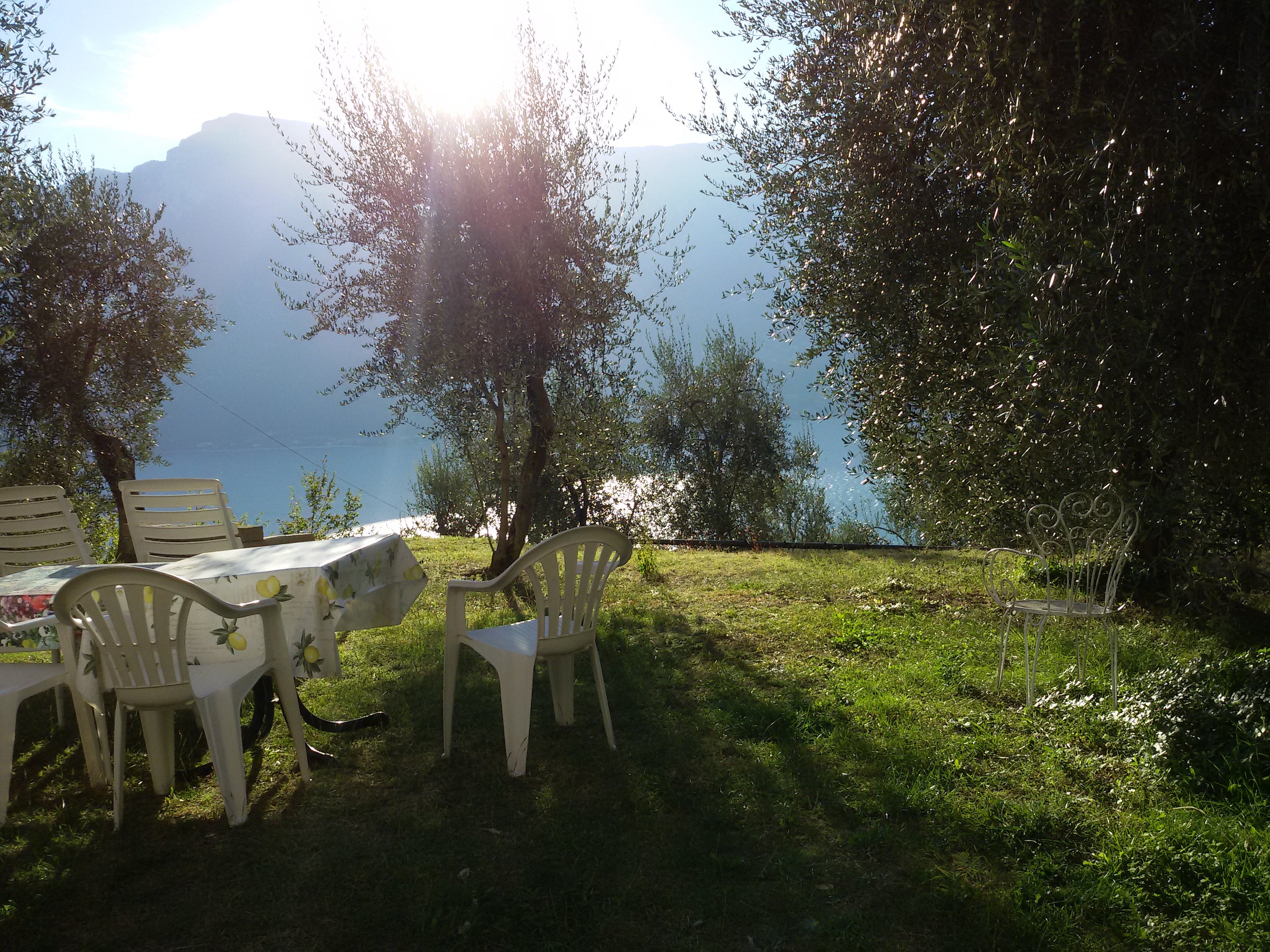 Bed & Breakfast Preone-官方