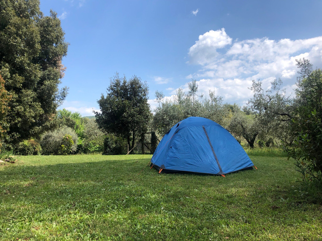 La Castellina 15