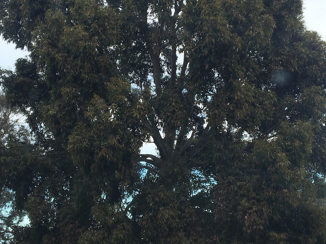 Jordan Reserve-查斯顿必去景点