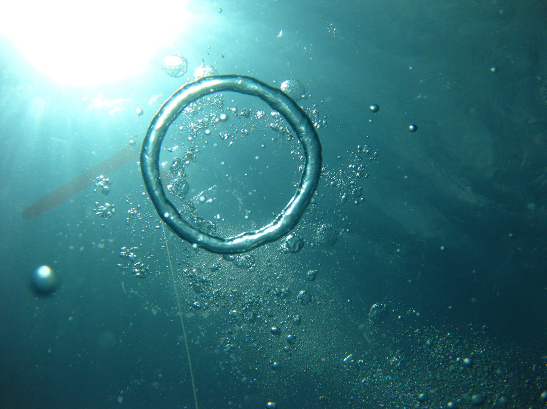 Andaman Bubbles-哈夫洛克岛必去景点