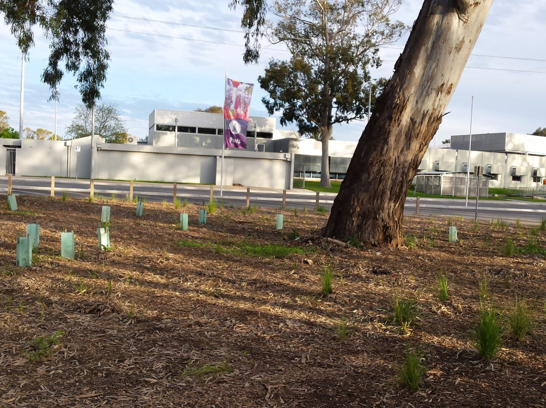 Aquamoves-谢珀顿必去景点