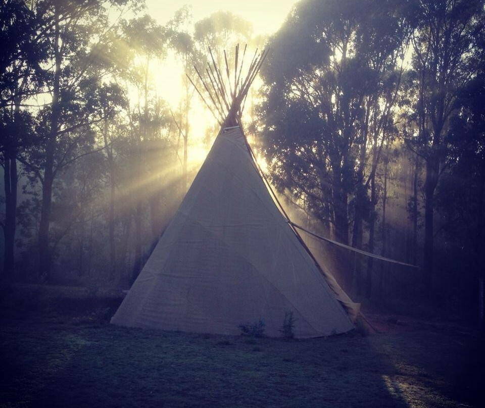 Kinglake Forest Adventures-Kinglake必去景点