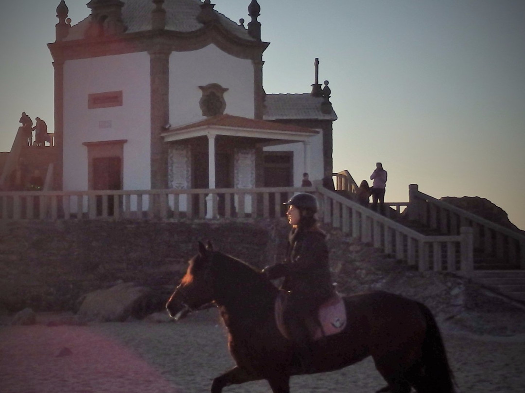 School Horses Centro de Equitacao de Valadares-Valadares必去景点