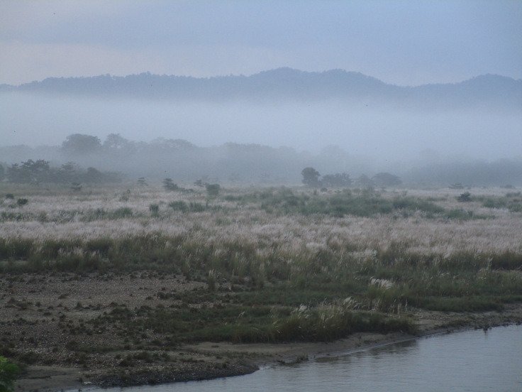 Tharu Homestay Meghauli Village-酒店景观