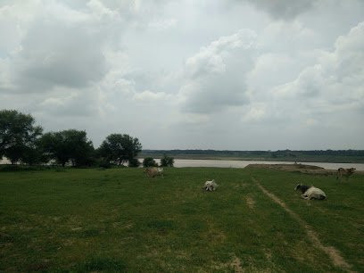 National Chambal Sanctuary NCS-阿格拉必去景点