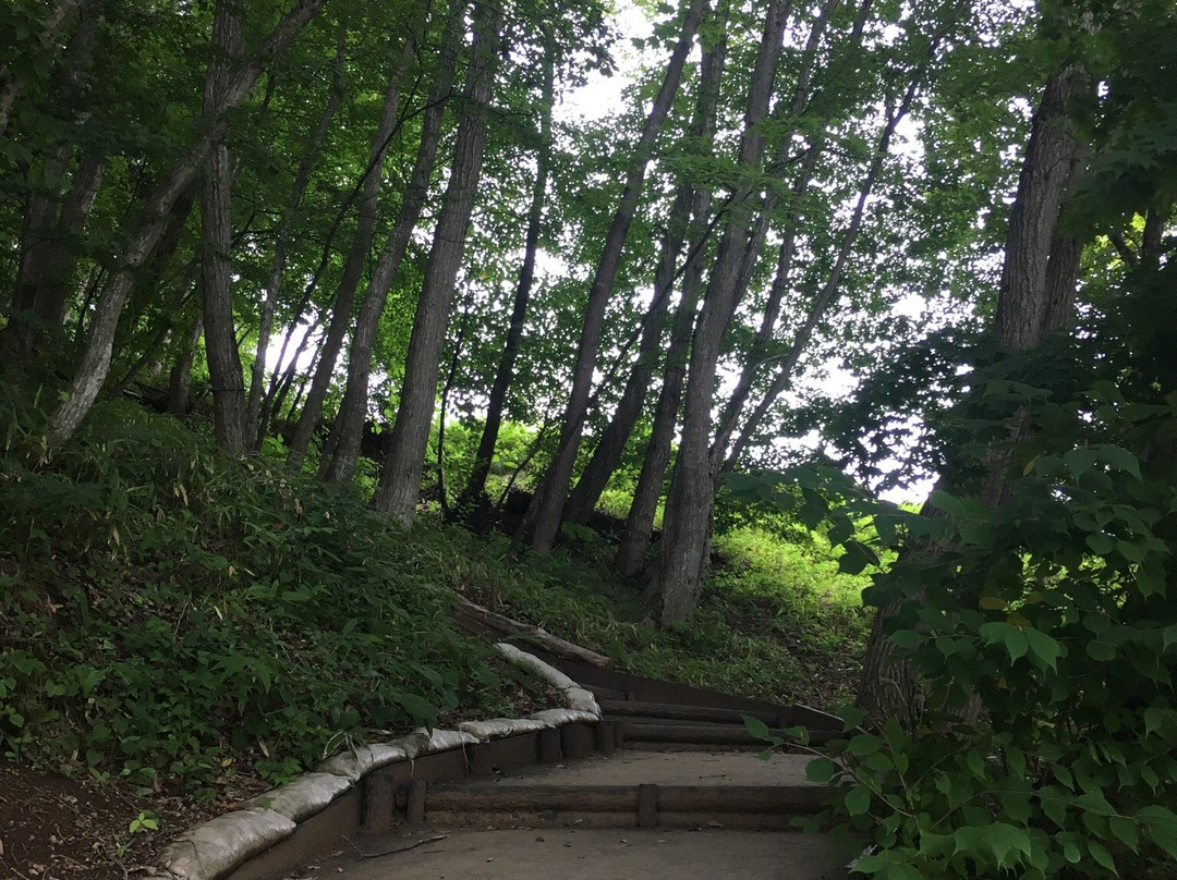 Beetle Natural Kingdom Mushimushi Land-田村市必去景点