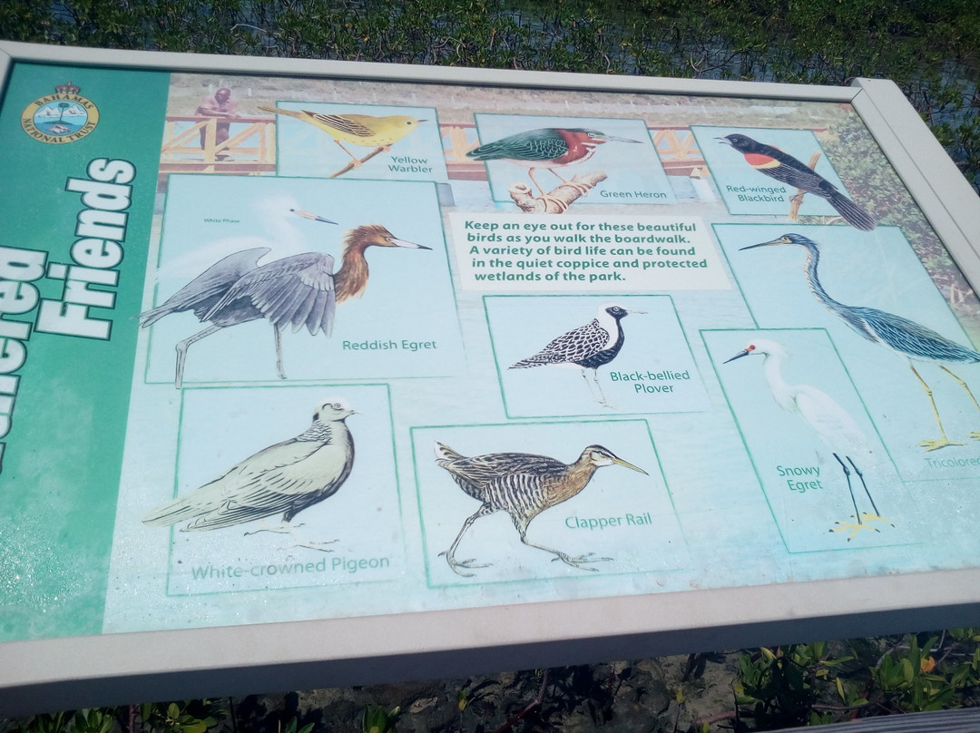 Bonefish Pond National Park-拿骚必去景点