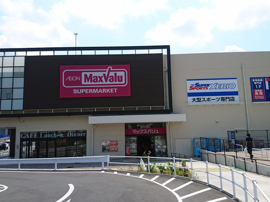 Aeon Town Narita Tomisato-成田市必去景点