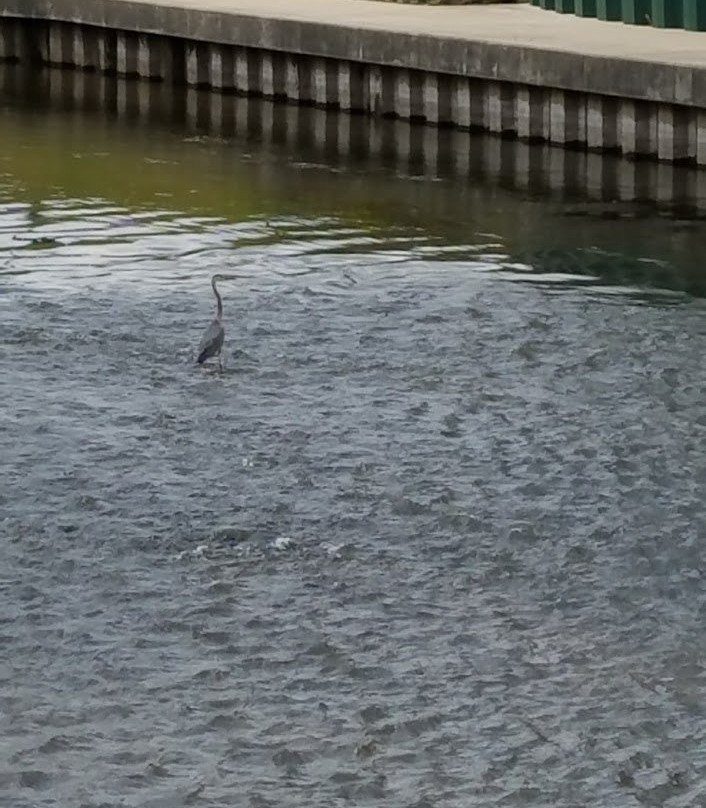 Island Park-埃尔克哈特必去景点
