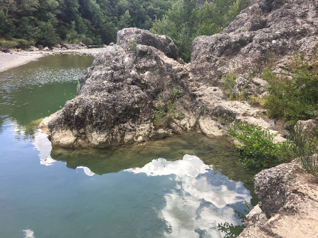 Foresta di Berignone-Pomarance必去景点