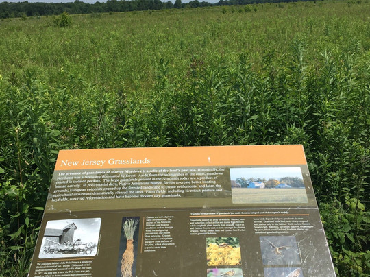 Lawrence Hopewell Trail-Hopewell必去景点