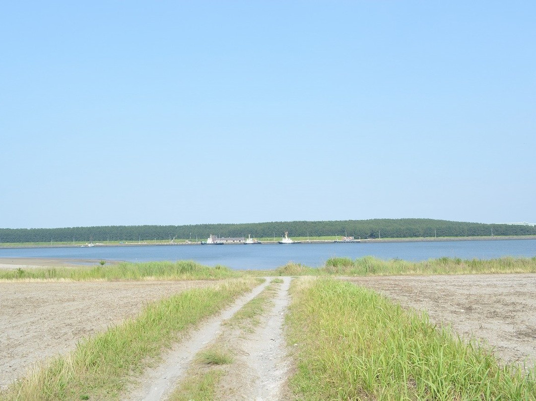 Kashiwabaru Beach景点图片