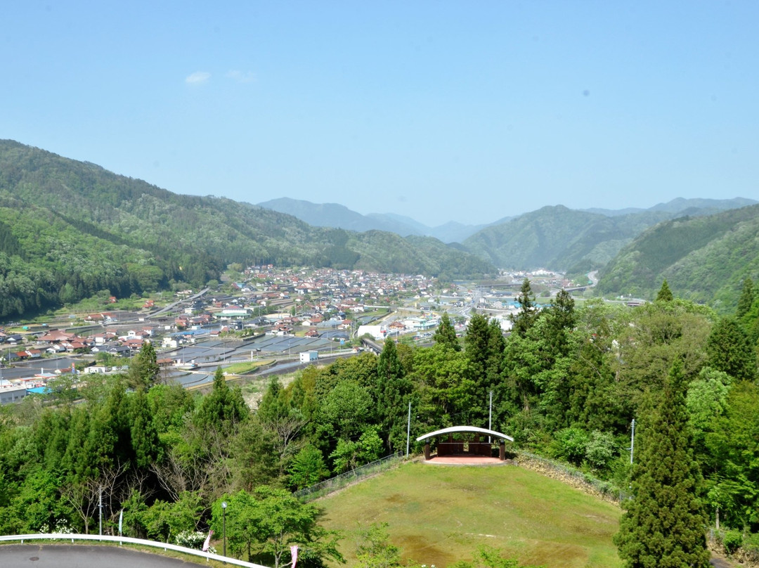 绿色温泉杜鹃主图