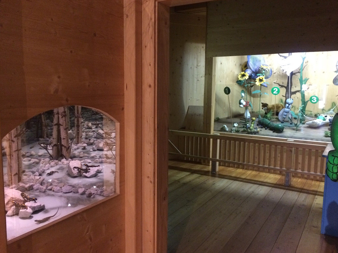 Mushroom Museum-Treffen必去景点