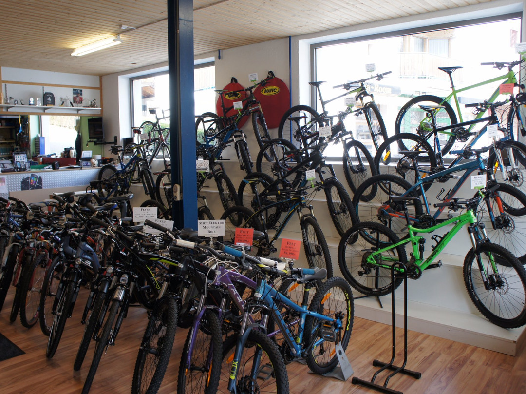 Bike-Store Schweizer景点图片