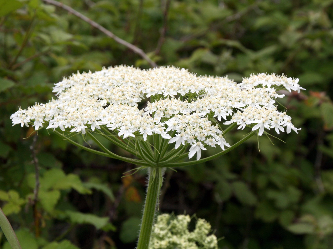 Siletz Bay National Wildlife Refuge-林肯城必去景点